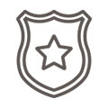 Badge icon